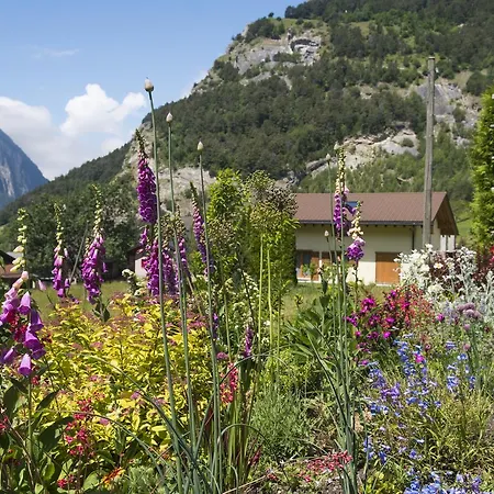 Les Rires Au Chalet Chalet